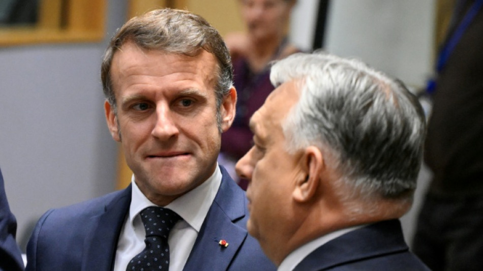 Zelenski pide a la UE recurrir a los activos rusos congelados en una cumbre decisiva para Ucrania