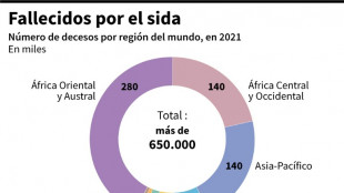 El sida, un ejemplo perfecto de la desinformaci&oacute;n cient&iacute;fica