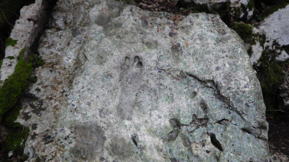 Scoperte in Ogliastra tracce fossili di dinosauri