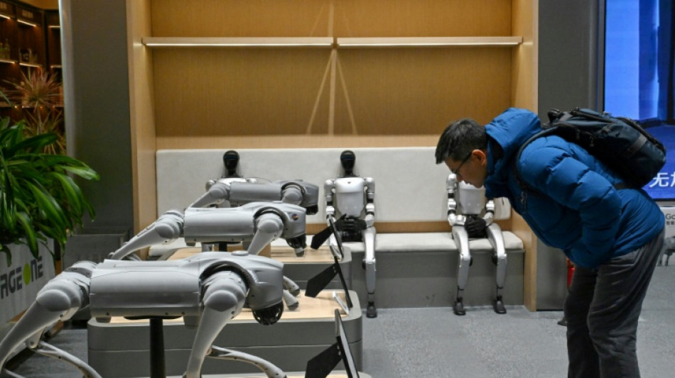 Artist chains up thrashing robot dog to expose AI fears