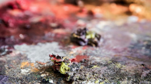 Una exposici&oacute;n sobre el trampantojo para festejar los 90 a&ntilde;os del museo Marmottan-Monet en Par&iacute;s