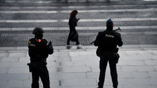 Detienen en B&eacute;lgica a 13 sospechosos en una operaci&oacute;n judicial antiterrorista
