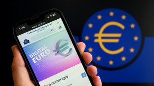 Euro num&eacute;rique: les entreprises allemandes restent de marbre, selon une &eacute;tude
