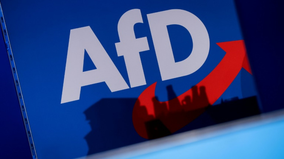Verfassungsschutz: Brandenburger AfD-Landesverband verst&ouml;&szlig;t gegen Menschenw&uuml;rde