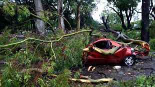 Urteil: Kein Schmerzensgeld von Land nach Verletzung durch Bäume bei Sturm