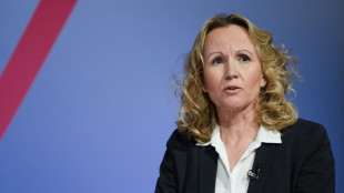 Lemke schl&auml;gt Kompromiss bei Verbrenner-Aus ab 2035 vor