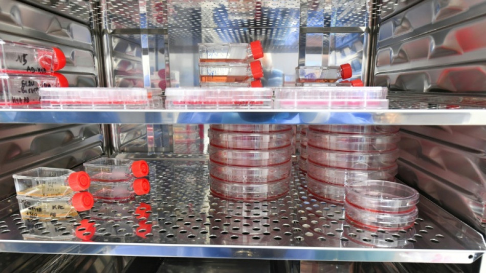 Cancers, immunité: les mille et une promesses de l'ARN messager dans un laboratoire d'Orléans