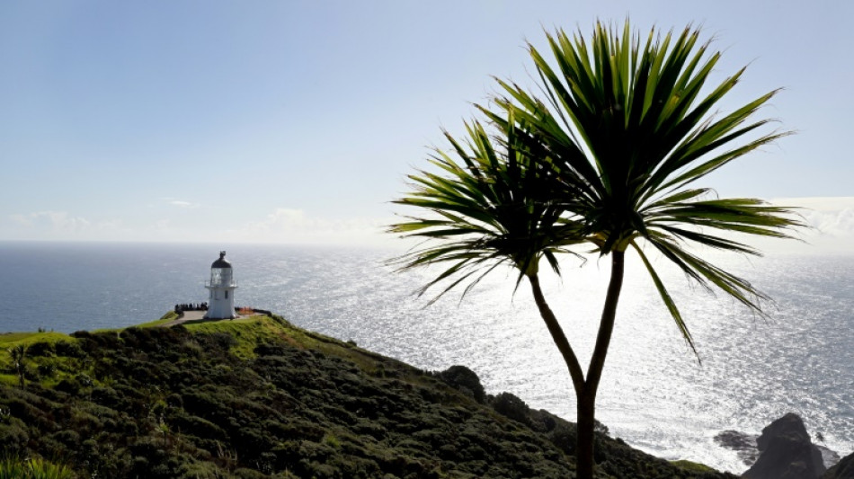 New Zealand's seas warming faster than global average: report