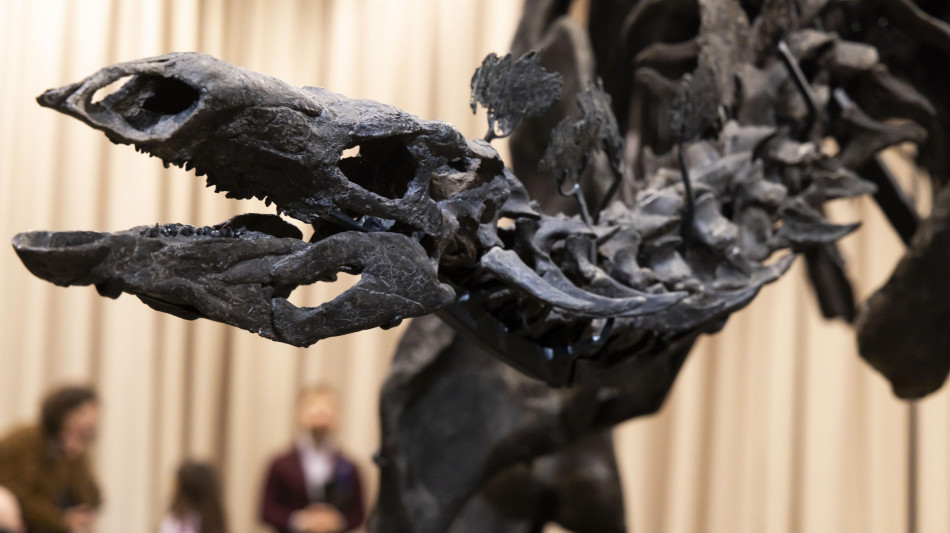 L'aria della preistoria ricostruita grazie ai denti di dinosauro