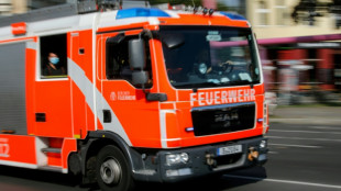 Vier Verletzte und 30 verendete K&auml;lber bei Gro&szlig;brand in Schleswig-Holstein
