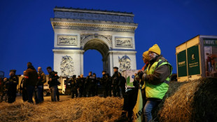 Agricultores franceses protestan junto al Arco del Triunfo de París