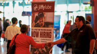 Stocks and dollar climb on reassuring US jobs data