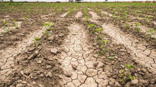 Siccit&agrave;, dal 2002 le aree colpite sono aumentate ogni anno