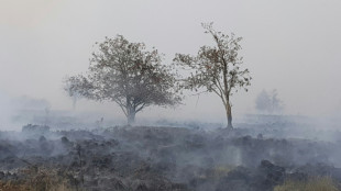 Ermittlungen nach Br&auml;nden in H&uuml;rtgenwald dauern an: Ursache weiter unklar