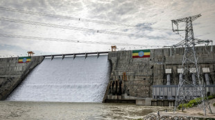 Ethiopia inaugurates Africa's biggest dam
