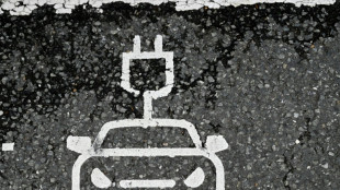 Bundesregierung f&uuml;hrt neue E-Auto-Pr&auml;mie ein - Kritik an F&ouml;rderung f&uuml;r Plugins