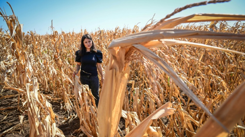 EU-Landwirtschaftskommissar: Kein Abbau von Umweltschutz durch Reformpl&auml;ne