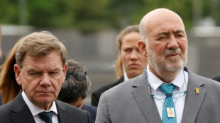 Israels Botschafter nennt geplante Hisbollah-Entwaffnung "historische Chance" im Libanon