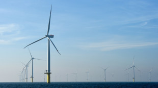 Suecia anuncia plan para energ&iacute;a e&oacute;lica marina en pleno debate sobre energ&iacute;a nuclear