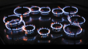 Il gas chiude in calo sopra i 44 dollari sulla piazza Ttf di Amsterdam