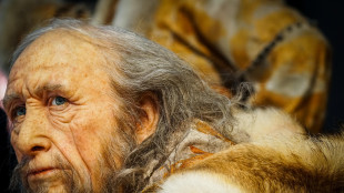 La moda &egrave; nata nel Paleolitico con i primi aghi per decorare