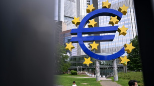 ECB expected to hold rates as Trump tariff uncertainty lingers