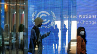 Staatssekret&auml;rin: Deutsche Beitr&auml;ge zu Klimafinanzierung werden nicht erh&ouml;ht