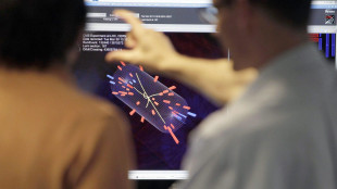 Universit&agrave;, anche 41 fisici torinesi nel maxi premio al Cern