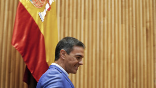 S&aacute;nchez, domani l'ok a un piano di 'rigenerazione democratica'
