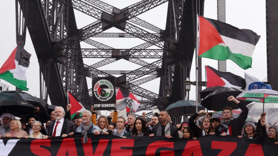 Assange parmi des dizaines de milliers de manifestants pro-palestiniens à Sydney 