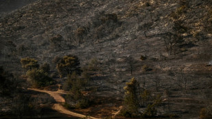 Los griegos calculan el costo de la "tragedia" por incendios cerca de Atenas