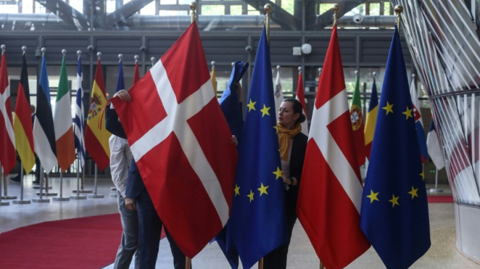 Sprachpr&uuml;fung f&uuml;r T&uuml;rken in D&auml;nemark als Voraussetzung f&uuml;r Nachzug von Ehefrau rechtswidrig