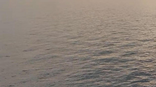 Svelati meccanismi apertura Mar Rosso, pi&ugrave; giovane oceano Terra