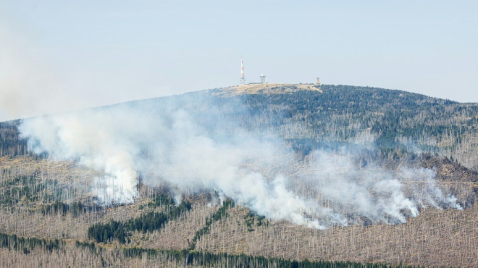 Trockenheit und Hitze durch Klimakrise: WWF warnt vor eskalierenden Waldbränden