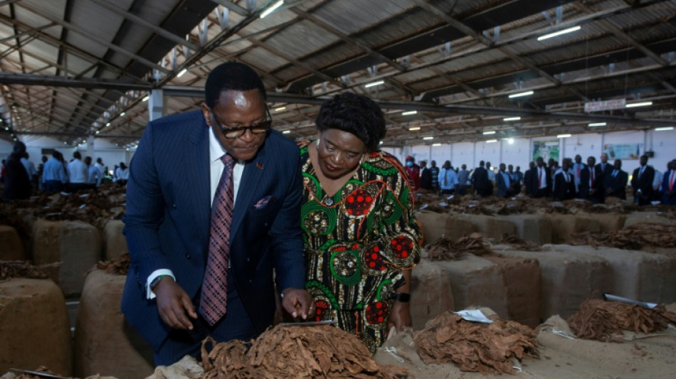 Malawi's debt crisis deepens as aid cuts hurt