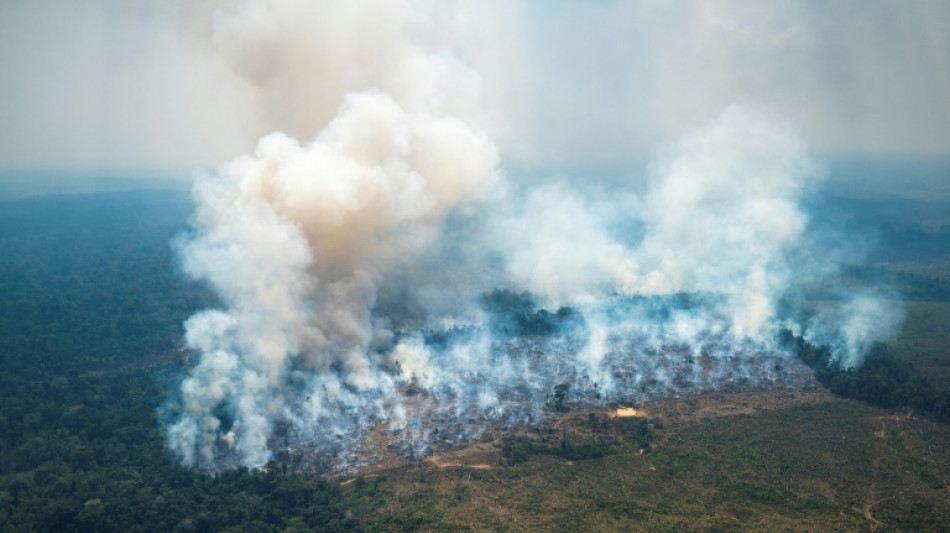 Colombie: des feux en Amazonie mettent la capitale sous "alerte environnementale"
