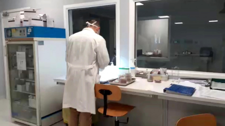 In un campione dell'asteroide Ryugu c'&egrave; vita, ma &egrave; terrestre