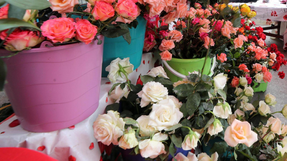 Una volta tutte le rose erano gialle