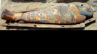 Gli aromi delle mummie egizie svelano le ricette degli imbalsamatori