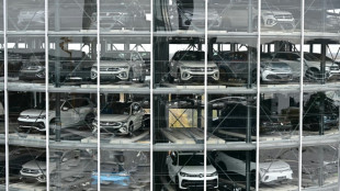 Volkswagen says tariffs will dampen business as profit plunges