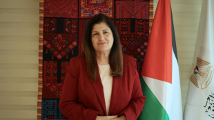 Reconnaissance de la Palestine: un message &agrave; Isra&euml;l sur "les illusions" de l'occupation, selon la diplomatie palestinienne