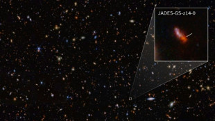 Le t&eacute;lescope James Webb d&eacute;tecte la plus lointaine des galaxies connues, qui intrigue