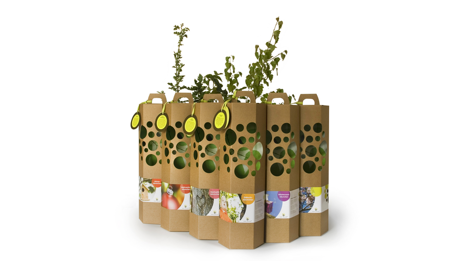 Fünf Bäume für ein Leben